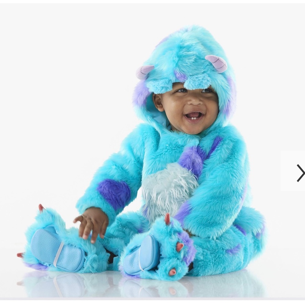 Pottery barn sully costume 24 months. Worn only for photos